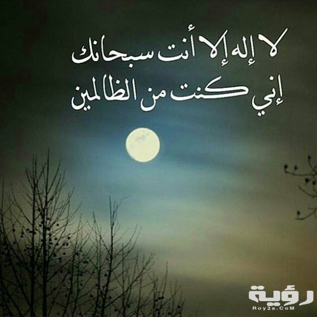 eff19ba3aa72c8b6090229ff73df6a45