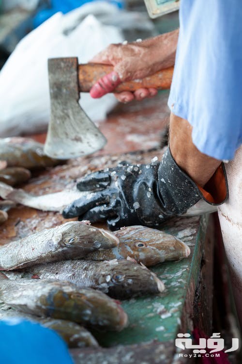 تفسير رؤية قشور السمك في المنام 3 تفسير