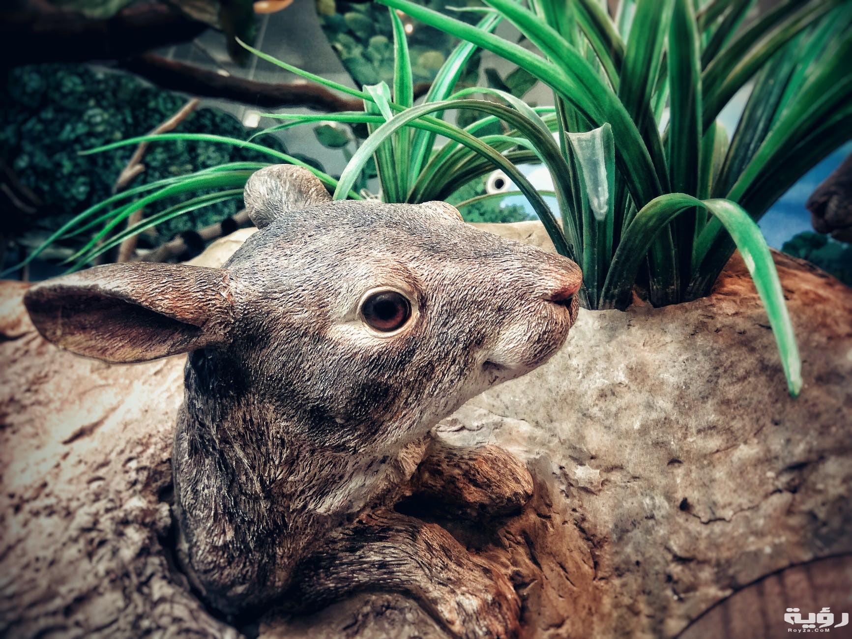 تفسير رؤية الفار او الفئران في المنام 1 تفسير