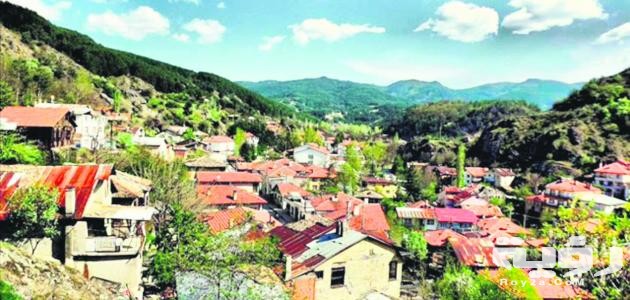 موضوع عن وصف القرية