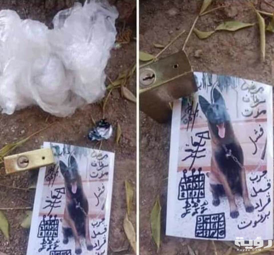 77755 عمل لكلب