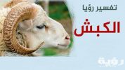 تفسير رؤية الكبش في المنام 3 4333 2 scaled