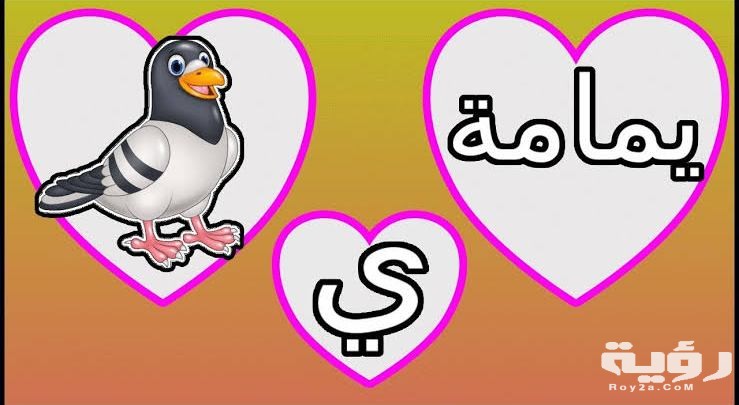 اسم حيوان بحرف ي الياء 3 10547