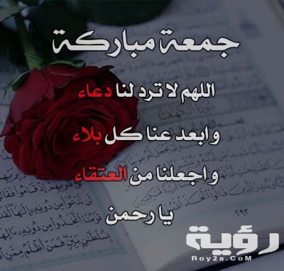 793843e00e04e09367c734ff1a92bf6e