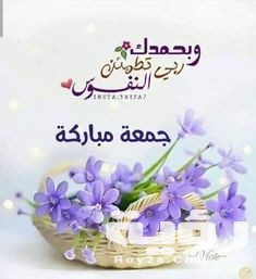 8bd68f0360906685f21c751fa16471be