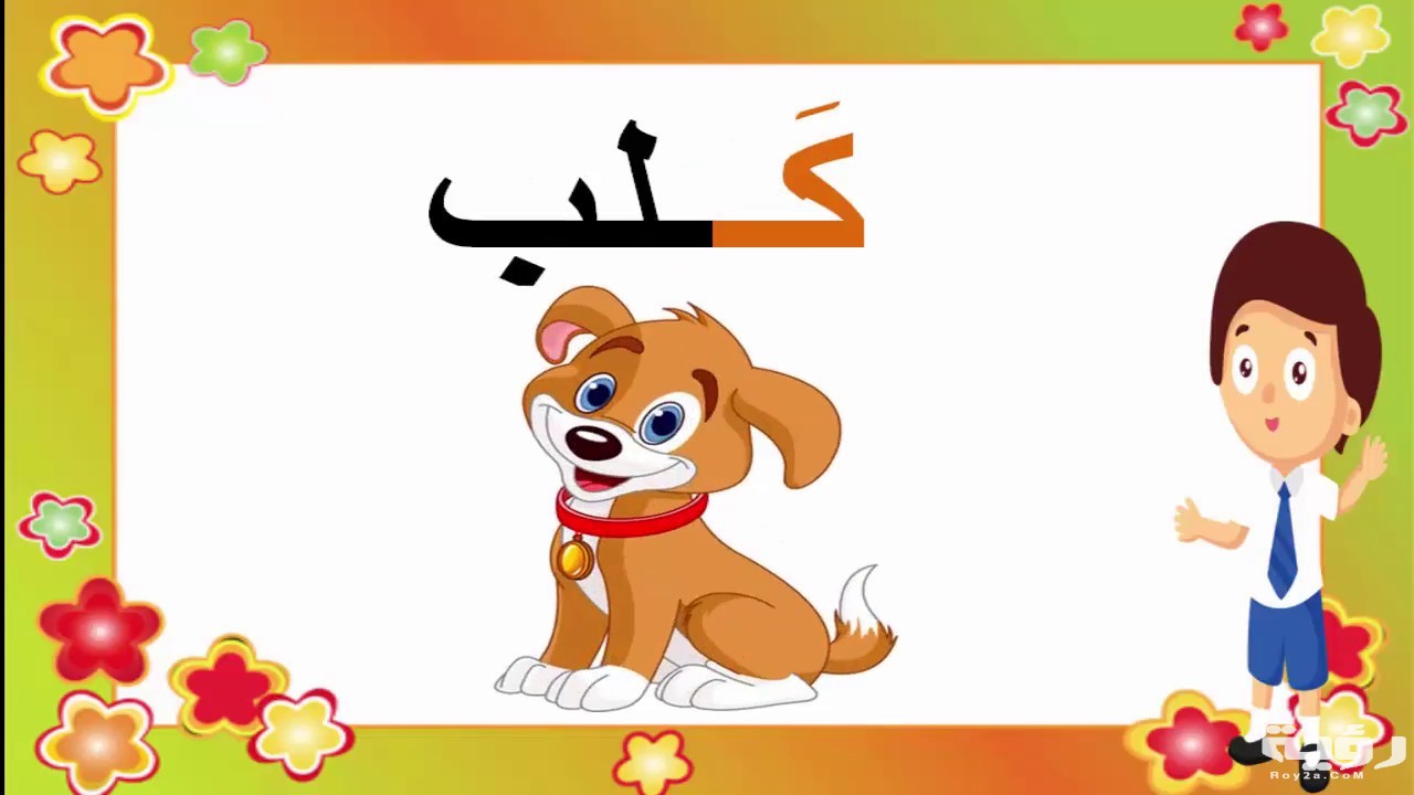 اسم حيوان بحرف ك الكاف 4 maxresdefault 6 1