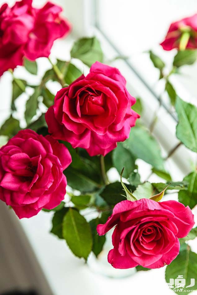 photo 1561826336 37bdb1339994