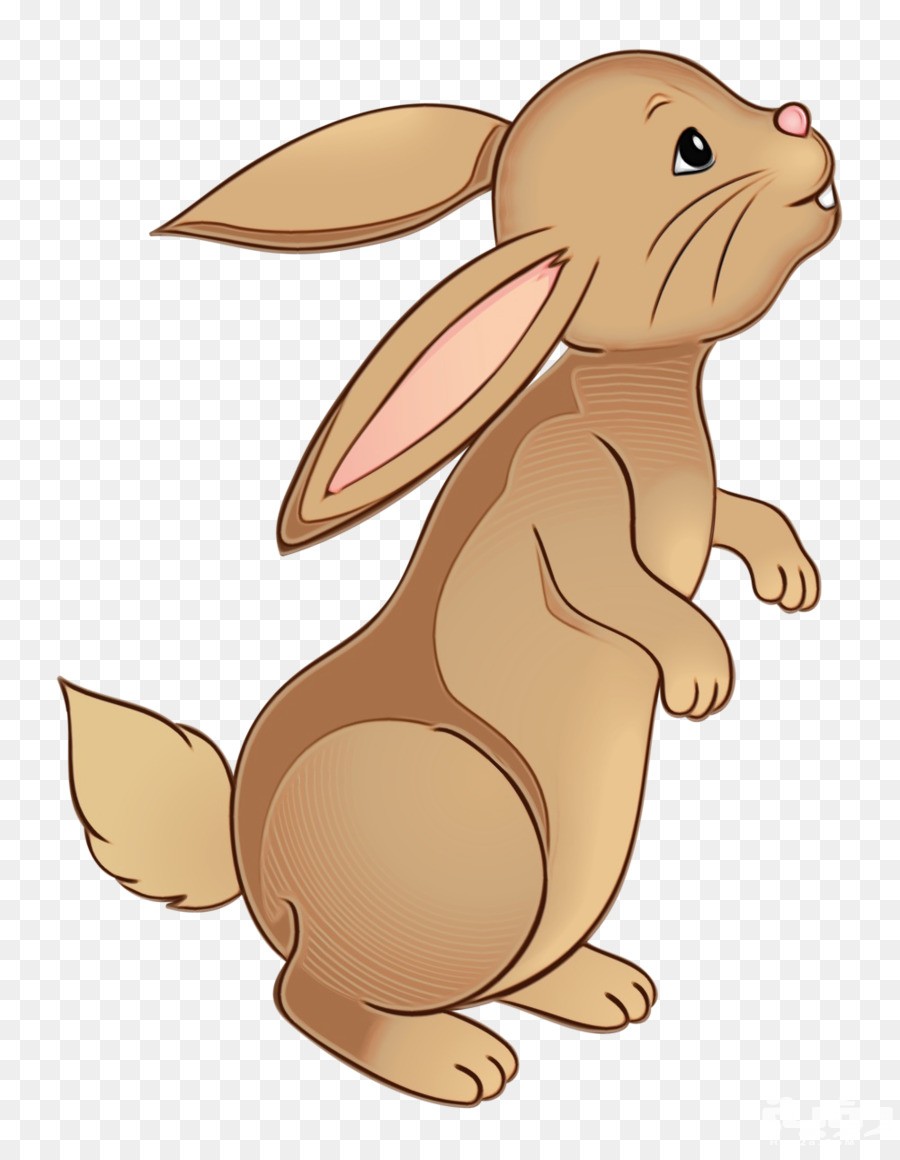 transparent cartoon rabbit hare rabbits and hares brown 5d68c7cd4b7ec0.3270043315671479813092