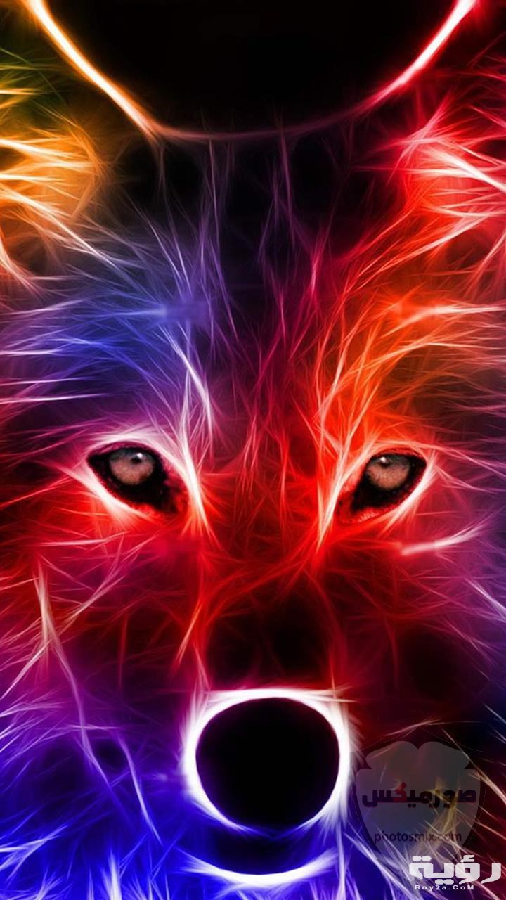 صور خلفيات موبايل اكشن 2026 للايفون او للاندرويد 1 صور خلفيات كمبيوتر 2020 روعة بجودة عالية HD صور خلفيات موبايل رومانسية جميلة 2021 37