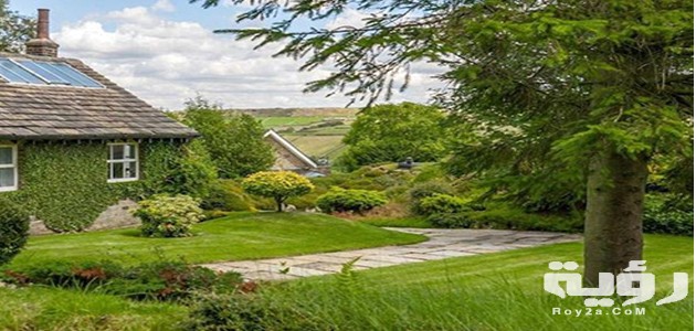 تفسير رؤية الارض الخضراء في