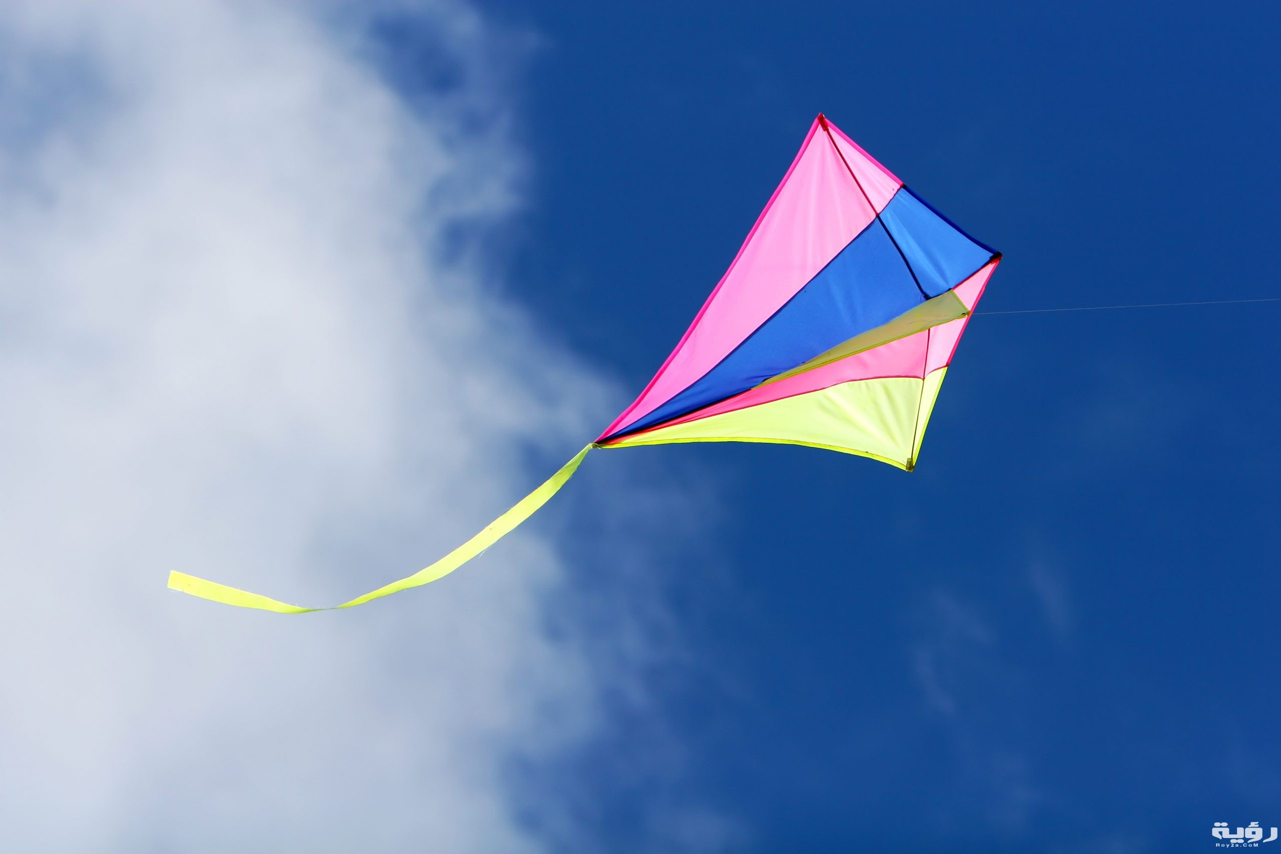 070519 kite adobestock 3615693 scaled
