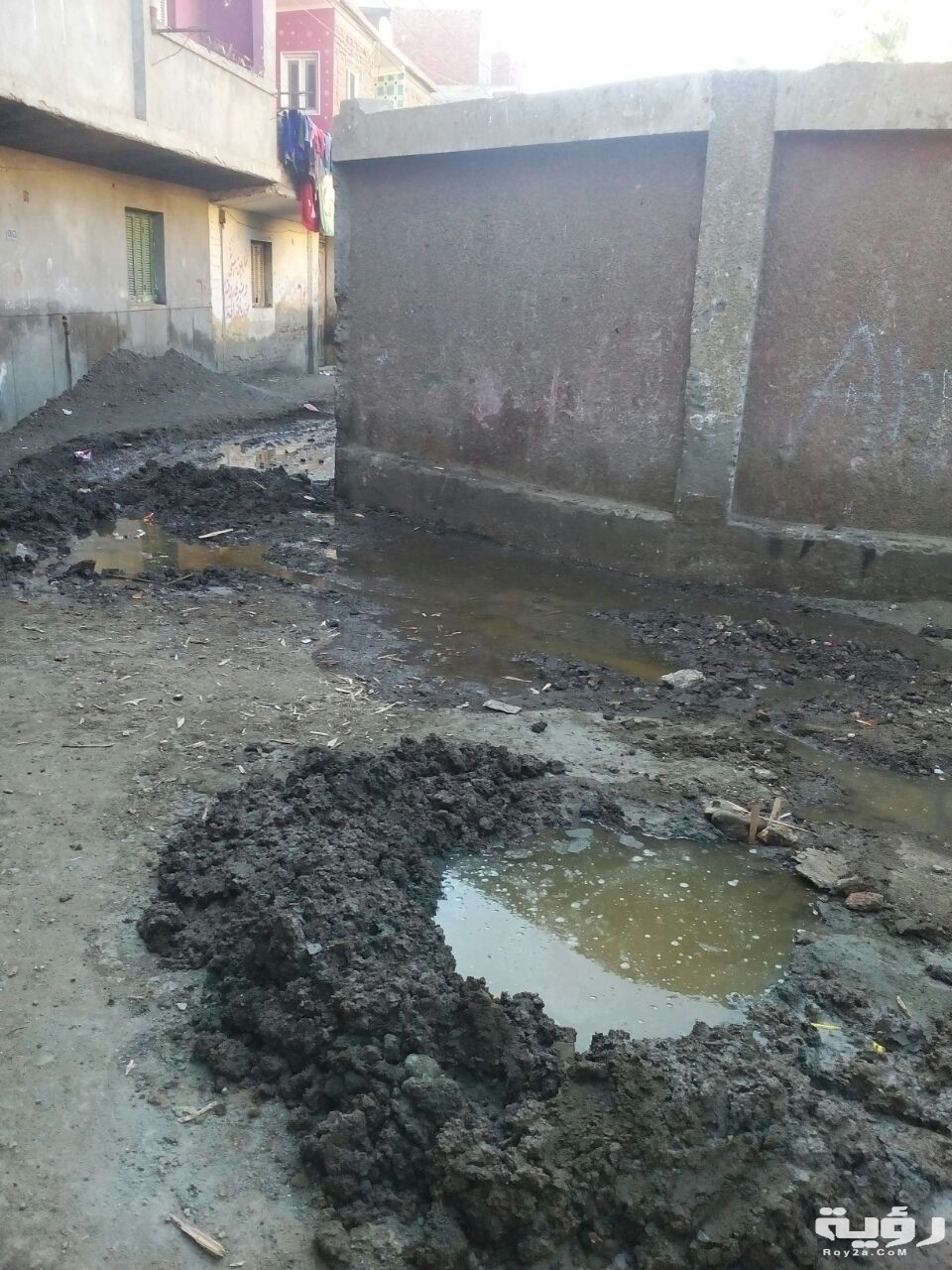238445 طفح مياه المجارى أمام مدرسة قرية قلما بالقليوبية