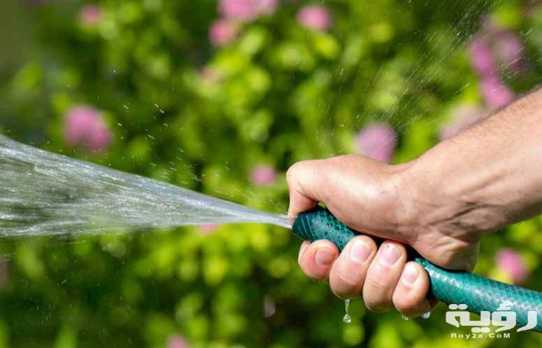 تفسير رؤية رش الزرع في المنام 1 Capture 575