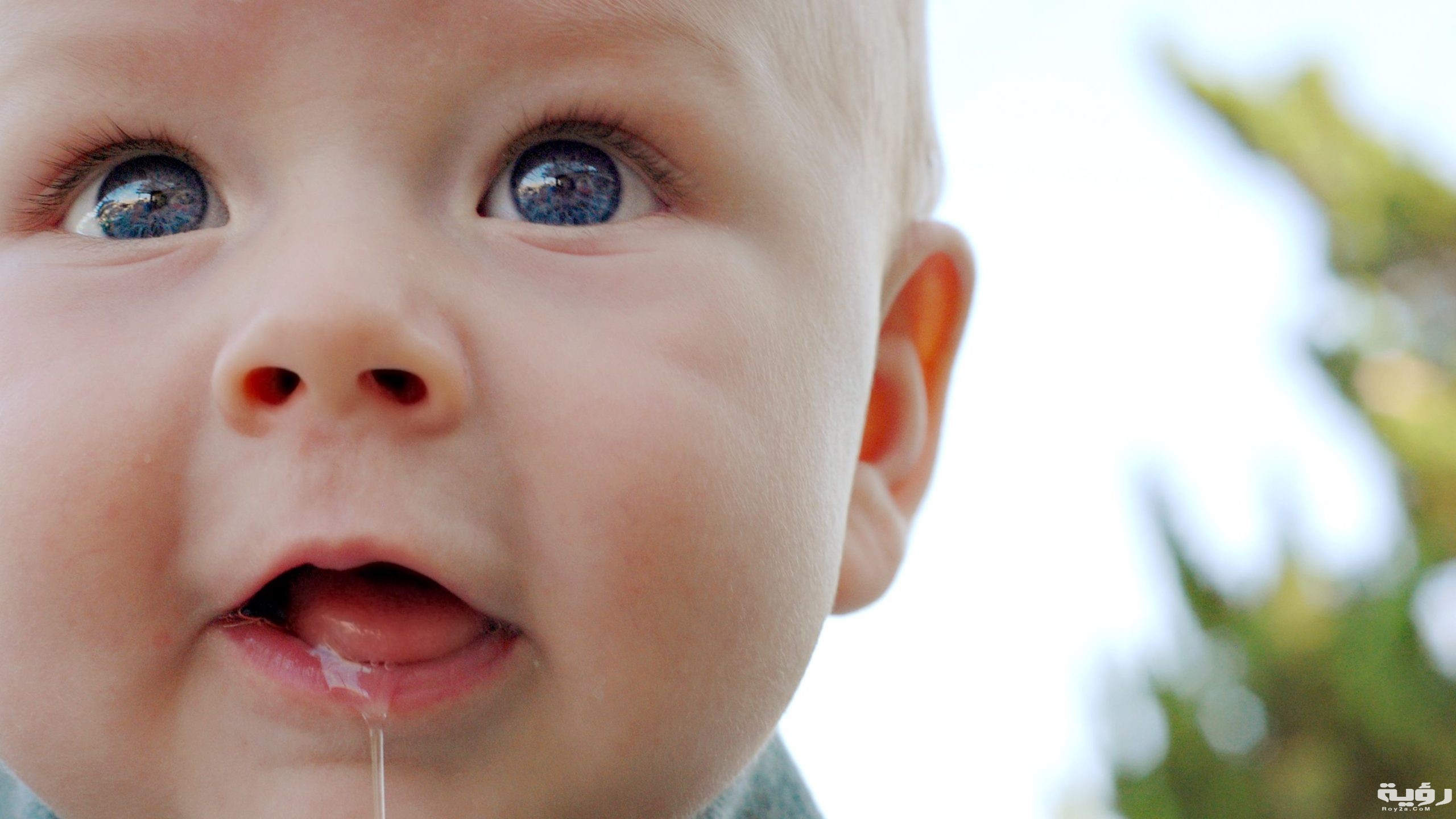 تفسير رؤية سيلان اللعاب في المنام 5 GettyImages 95919157 579a41225f9b589aa927a63c scaled 1