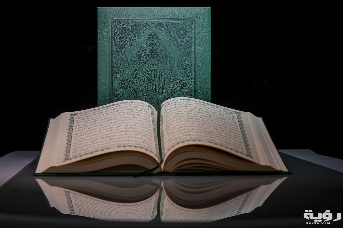 d7b1dfd4c06b05ae7614a2fa05191e52