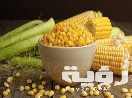 تفسير رؤية الذرة الاصفر في المنام 1 download 11