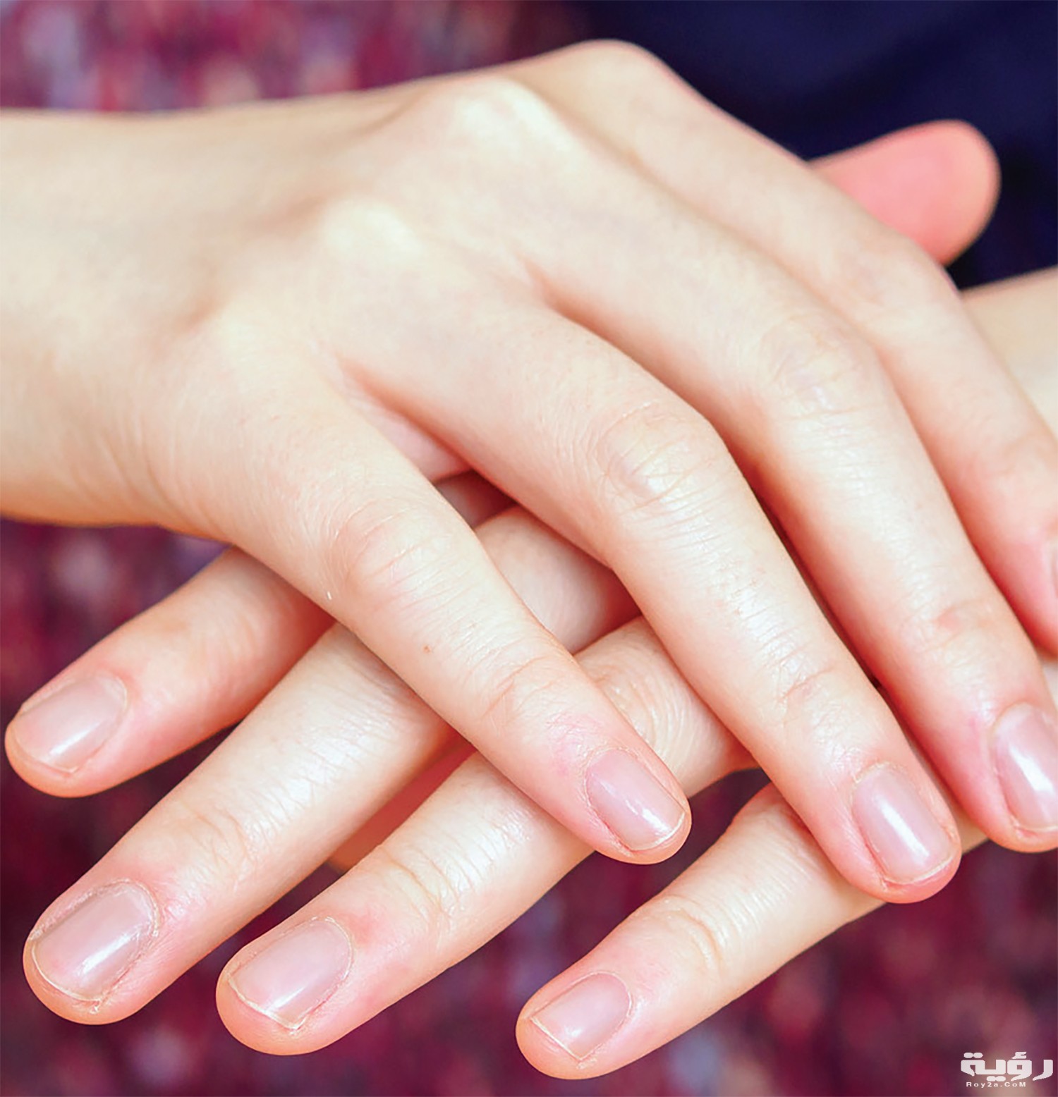 تفسير رؤية الأظافر في المنام 3 image