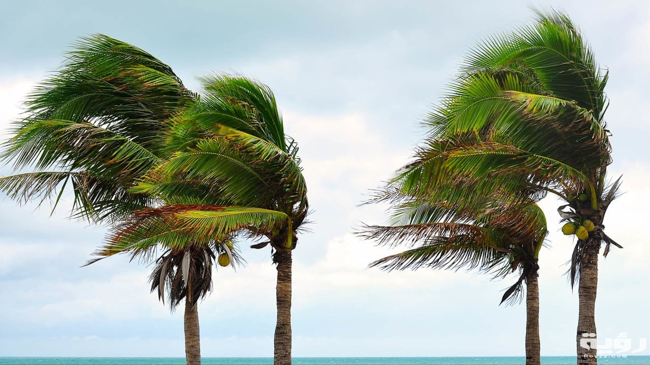 حلمت بالرياح كثيفة فما تفسير ذلك 4 الرياح في المنام 1