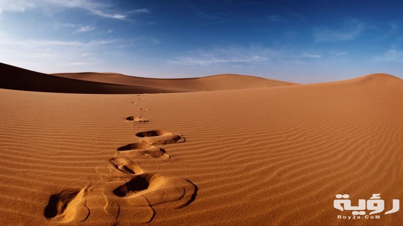 تفسير رؤية الرمل والرمال المتحركة في المنام 2 رملة