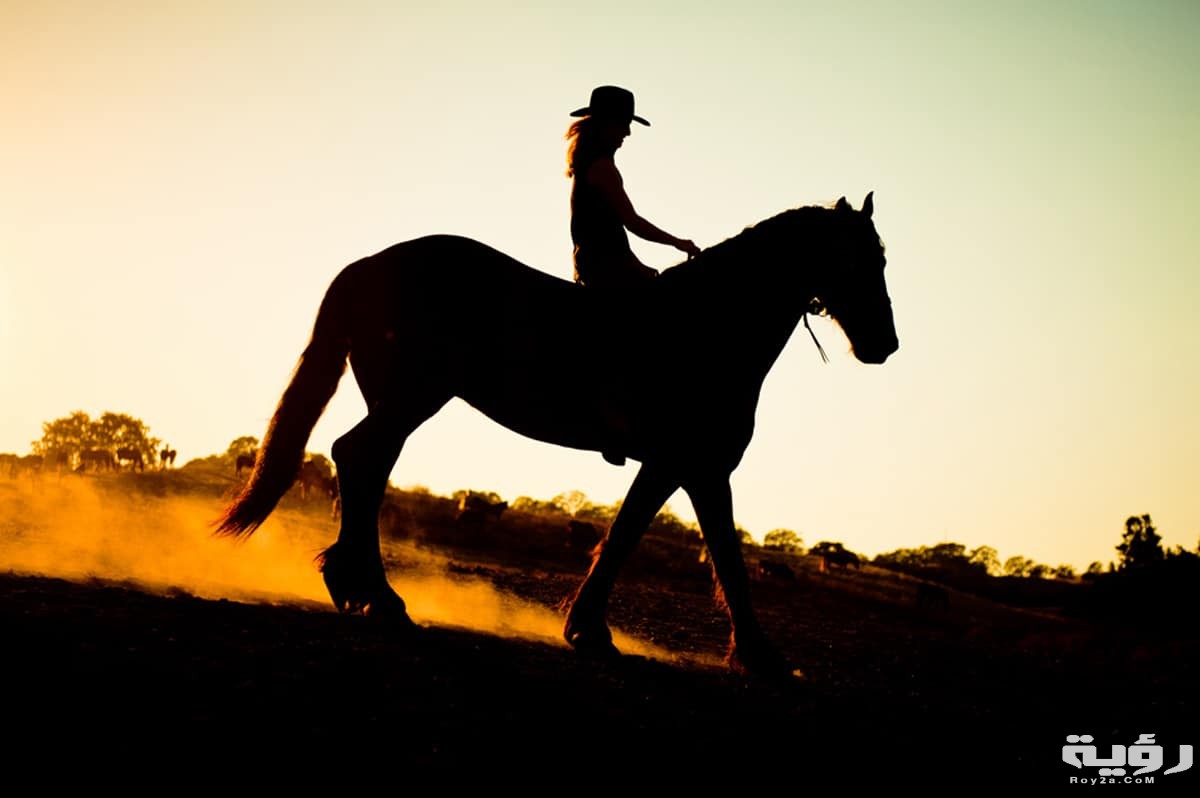 فوائد ركوب الخيل للجنس