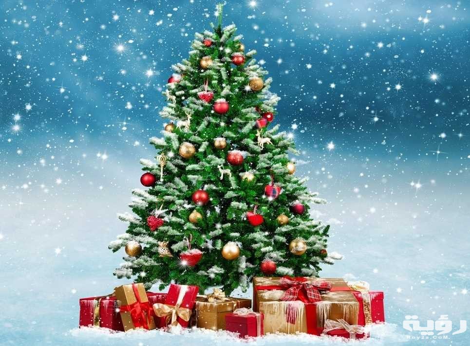 1097 ChristmasTree Qu50 RT1600x1024 OS965x711 RD965x711