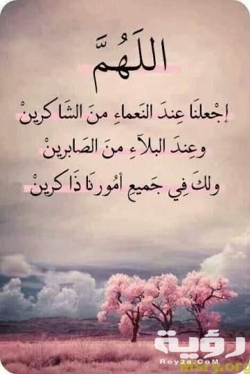 3344d80ed0a760187feb1aac5c443e6d