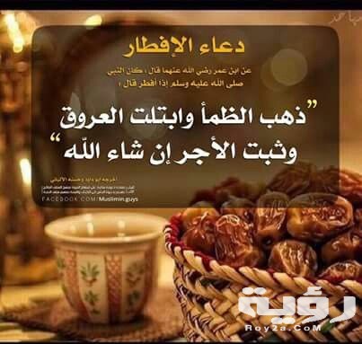 8fc68c2aa15b7b72a1e069949a921c20