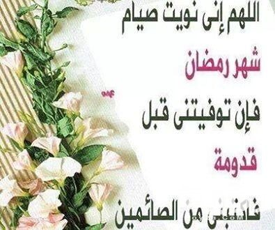 Bm8wMboCQAAt8Kf 395x330 1