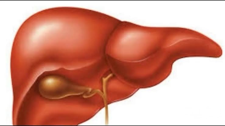 تفسير رؤية الكبد في المنام 2 D18F4DC3 95EE 46CA 846D FB60636C6459