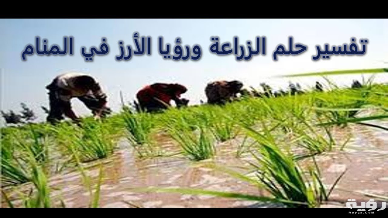 تفسير رؤية زراعة الارض في المنام 4 maxresdefault 3 2