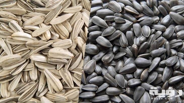 تفسير رؤية اللب في المنام 1 تفسير حلم رؤية اللب في المنام