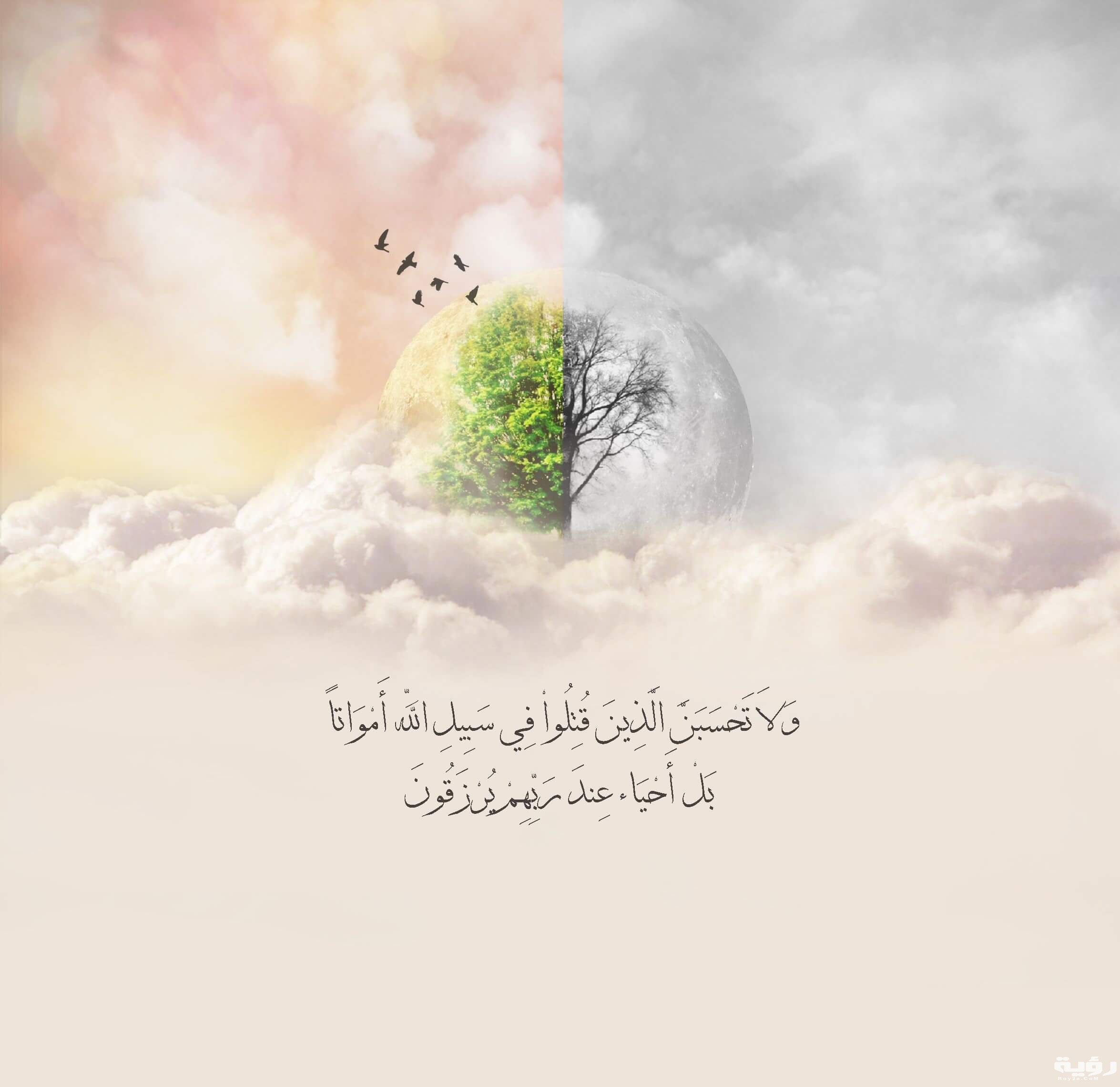 029659431b20ff596c11e22e610b7315