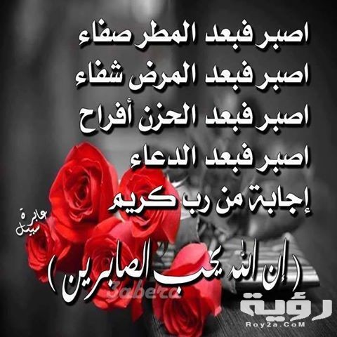 0c4fca8d4f269dde6db4bde01cdd0bd1