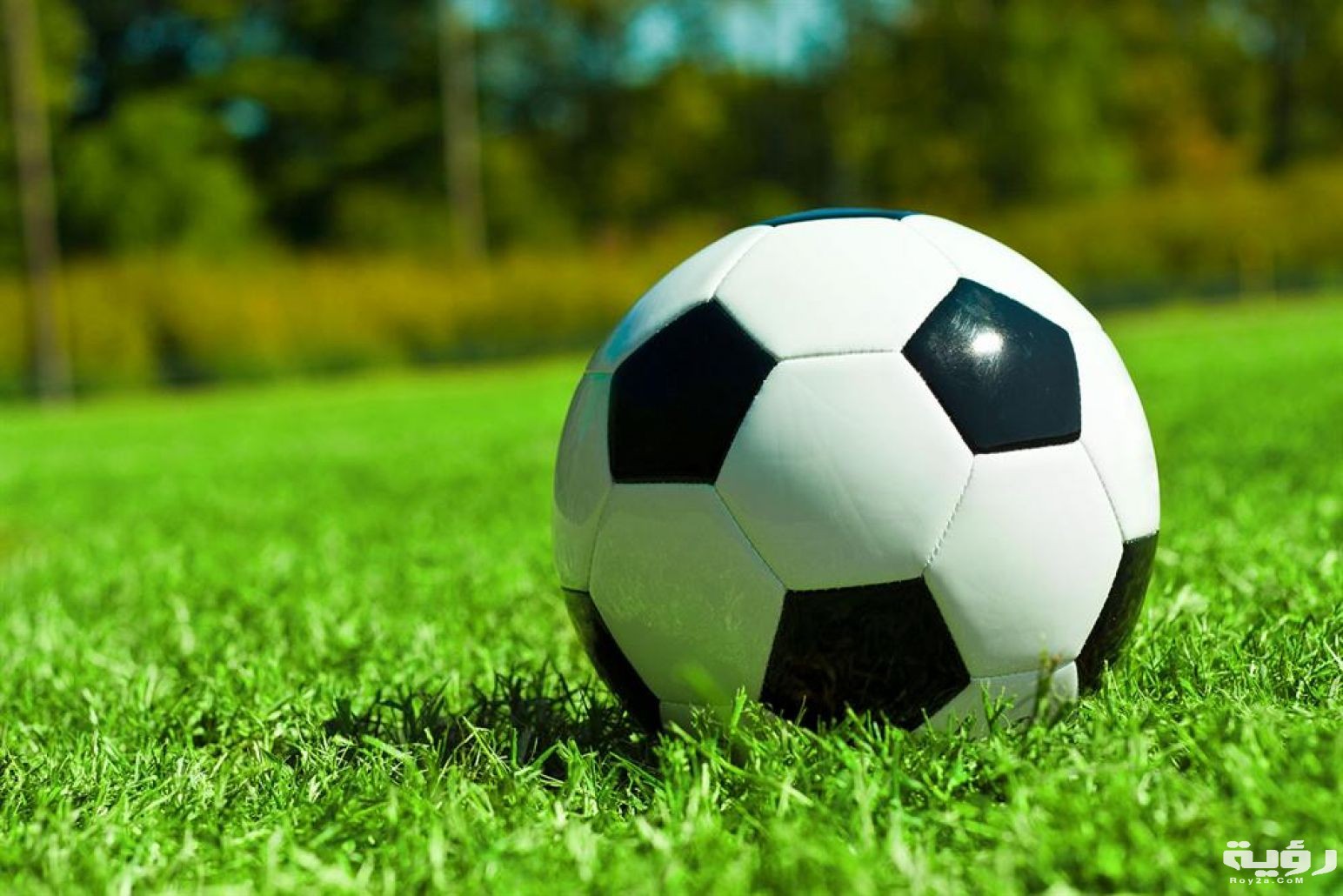 22fa5ae1b229e5f83dcaedb06ab9113c