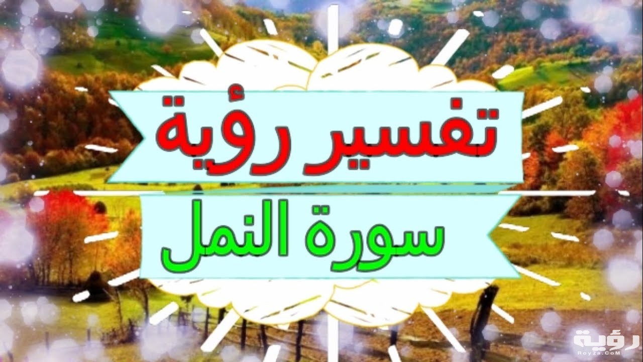 تفسير رؤية سورة النمل في المنام 5 maxresdefault 12 2