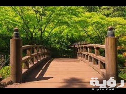 الجسر في المنام