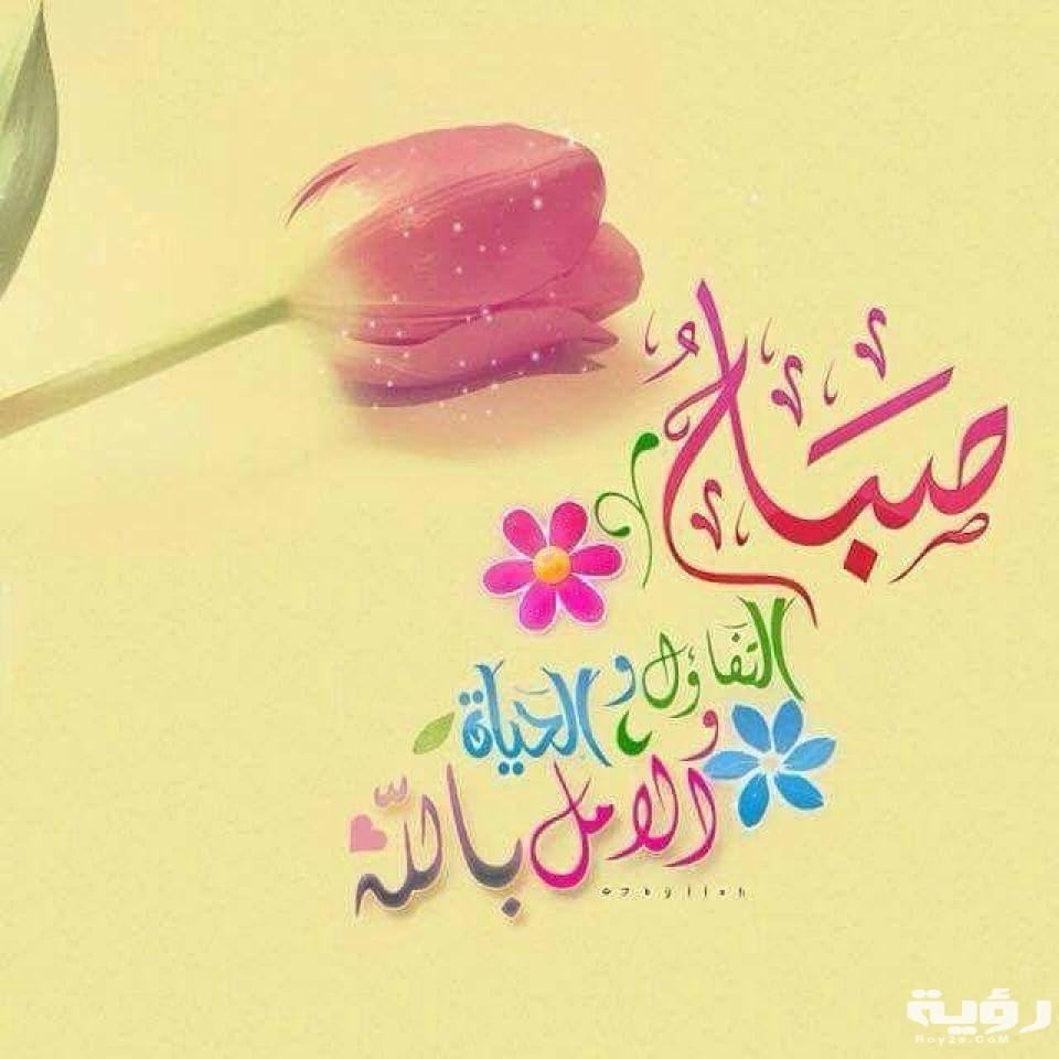 7898243fb446cfcf04f4b64bf07e035a