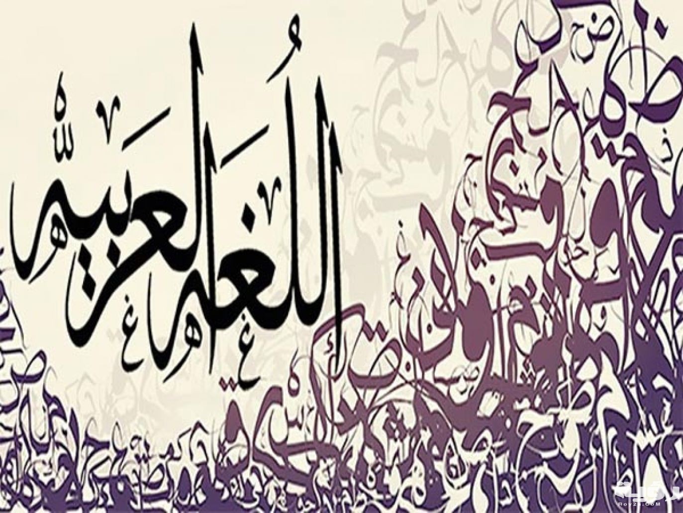 EC41FEE8 FE69 426A AE64 8CC486A7122F