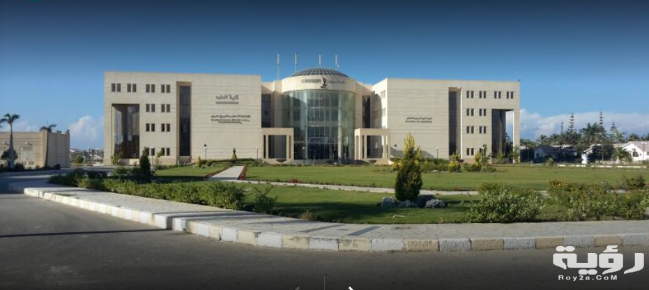 مصاريف وأسعار جامعة سيناء 2026 الأوراق والمستندات المطلوبة 4 A9C3CBF6 0554 4F05 8B4C 3A006A65A624