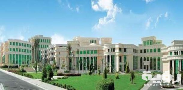 مصاريف وأسعار جامعة اكتوبر للعلوم الحديثة msa 2026 التنسيق والأوراق المطلوبة 4 C82BF778 FA19 4DB0 8BD1 95D45915C976