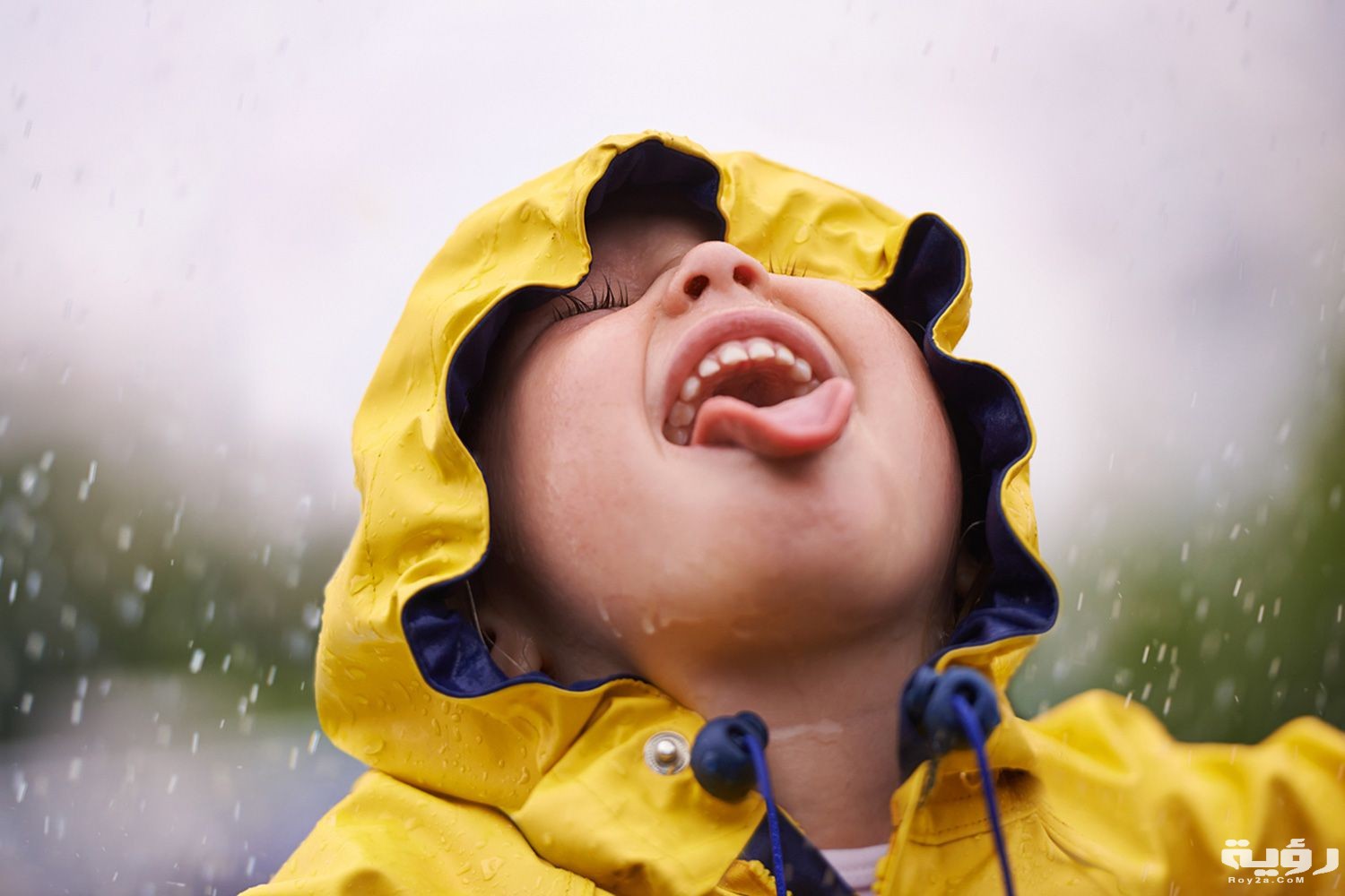 حلمت اني شربت ماء المطر 3 Drinking Rain 58e6ae725f9b58ef7e11a505