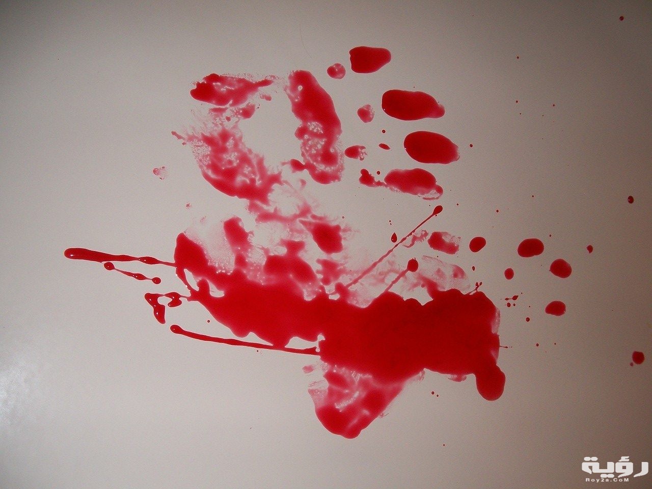 حلمت ان ينزل من فرجي دم 4 J4uYGW9mjU e1598965712823