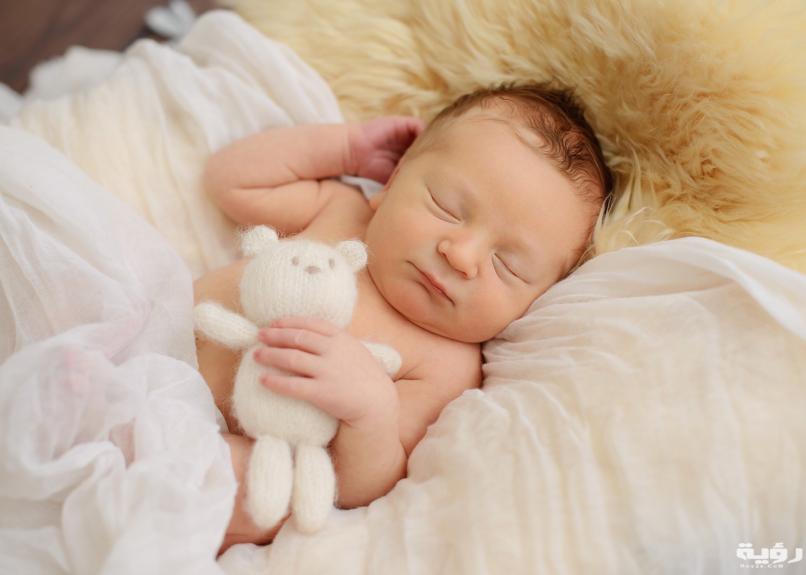 Cuddly Newborn Session 11