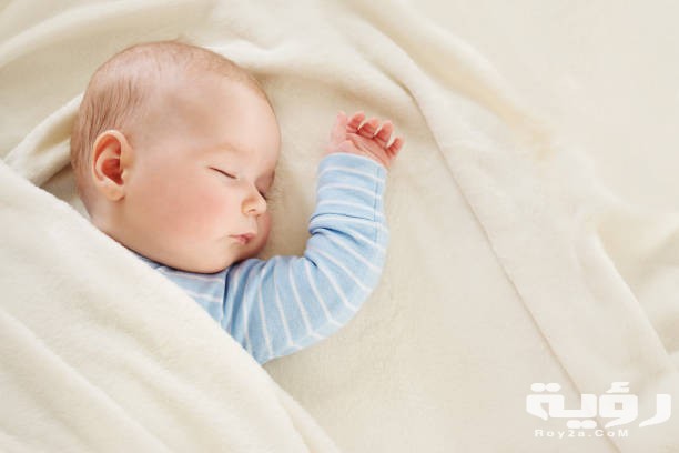 istockphoto 1042607100 612x612 1