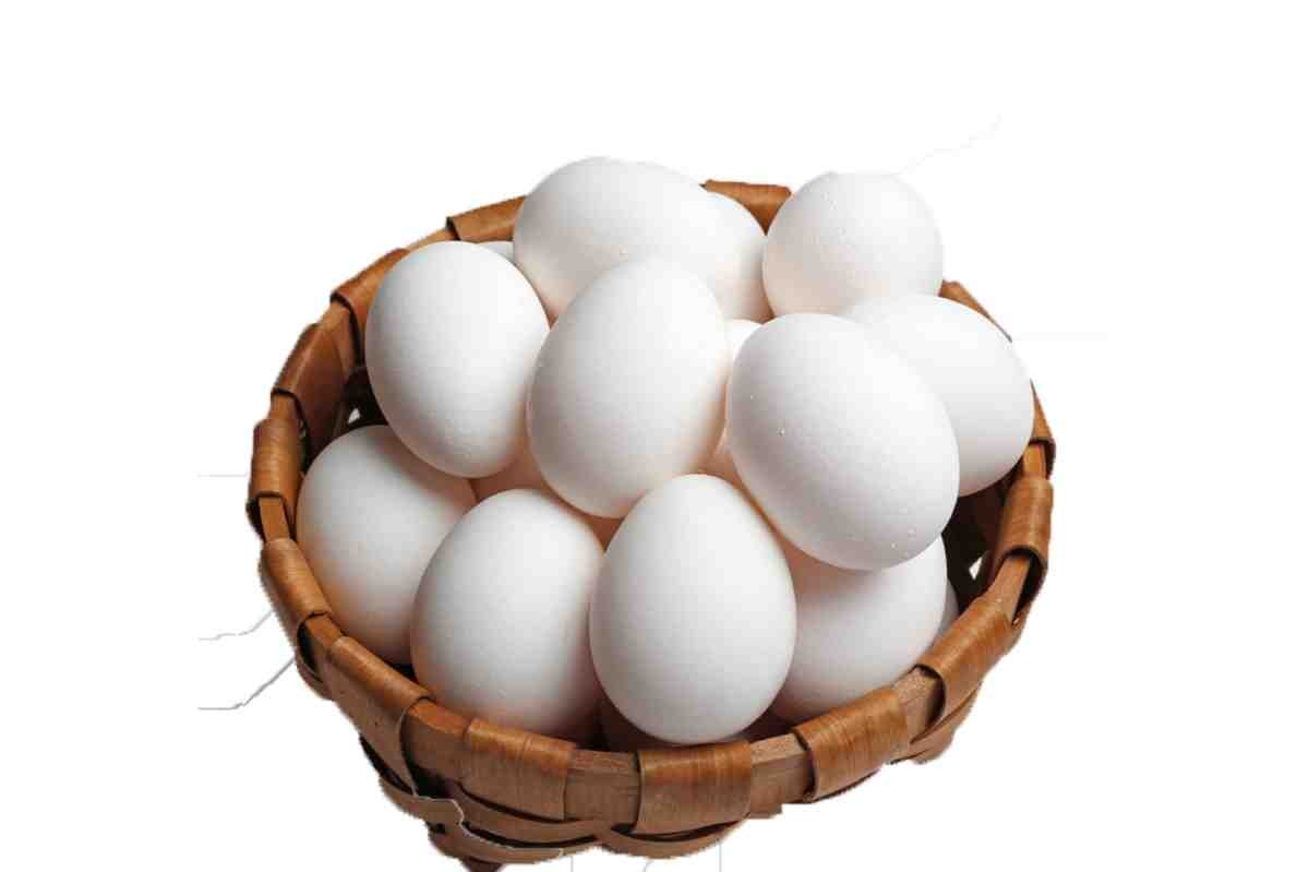 حلمت اني لقيت بيض كتير 4 larg1586271647