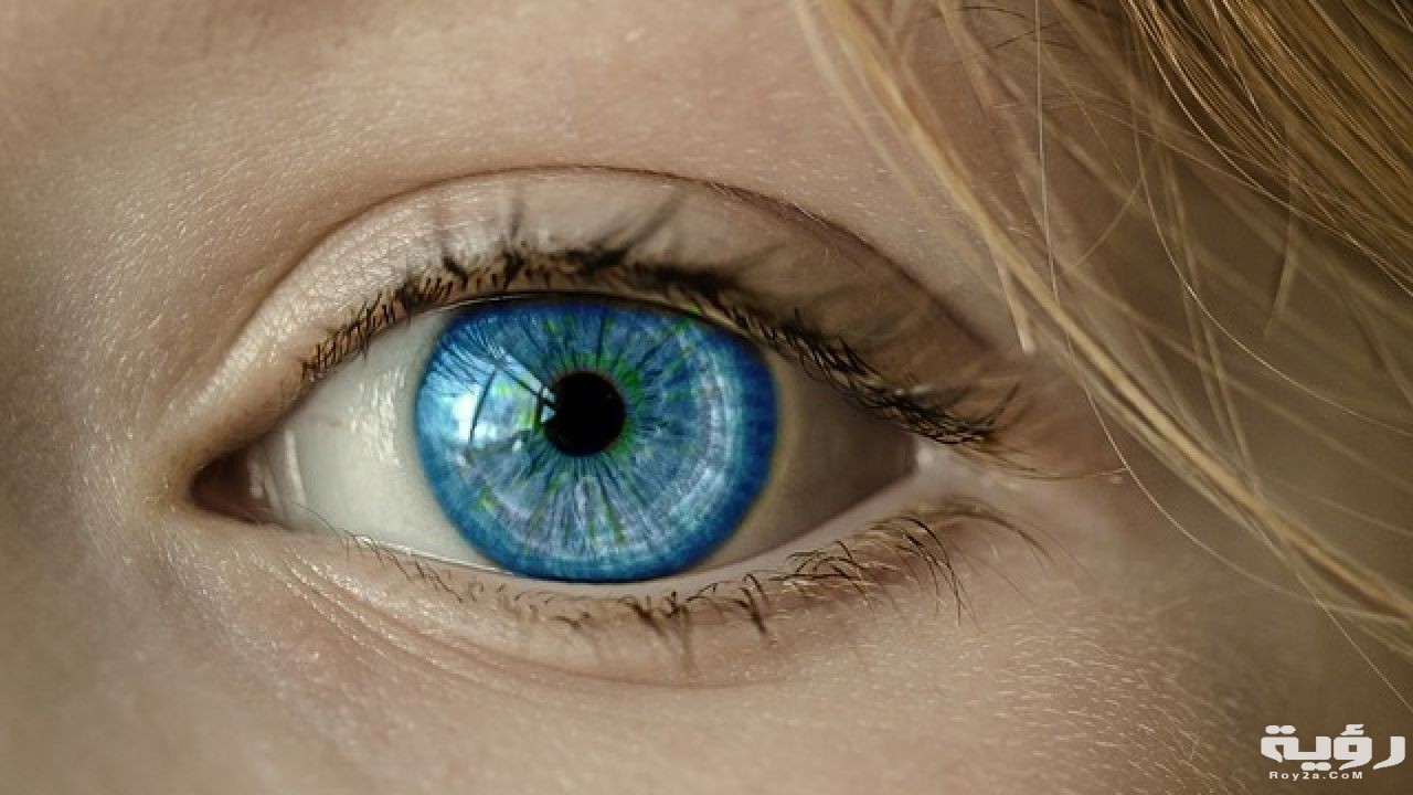 أحلام تدل على خروج العين والحسد 4 the difference between the eye and the envy