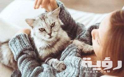 حلمت اني اتكلم مع قطة 5 2019 10 17 18 58 30 35320201221