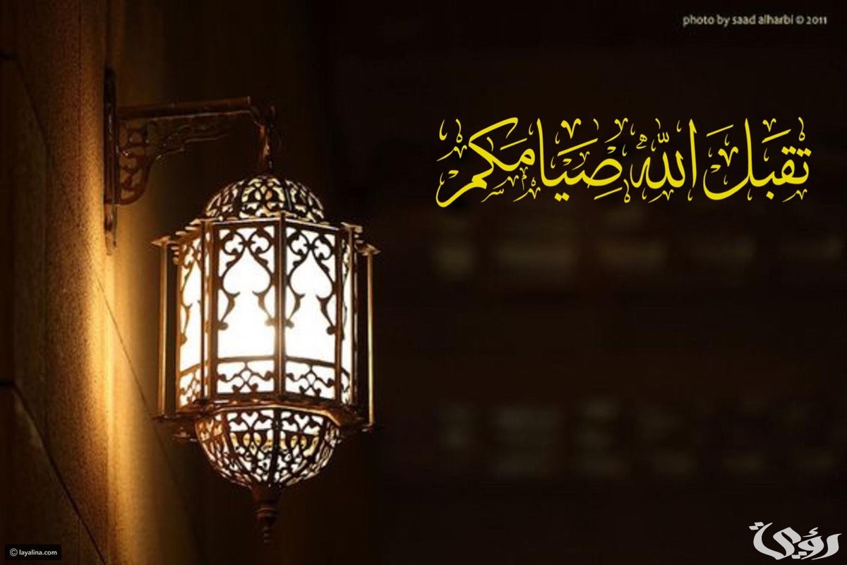 515B76E7 9D52 42DF B34E 17F3AC8702DB