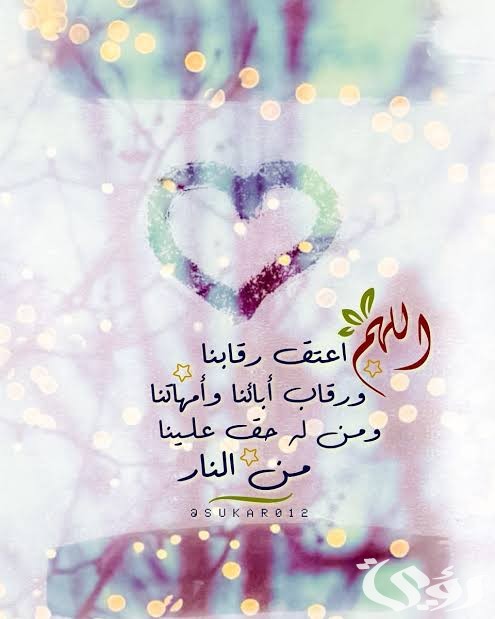 images 2022 03 14T233702.826