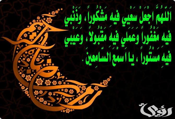 images 2022 03 17T024405.809